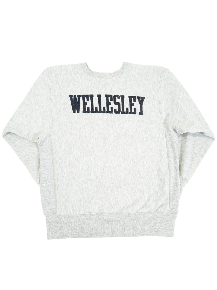 90's 刺繍タグ チャンピオンRW ''WELLESLEY'' 両面染み込み 表記(L) USA製