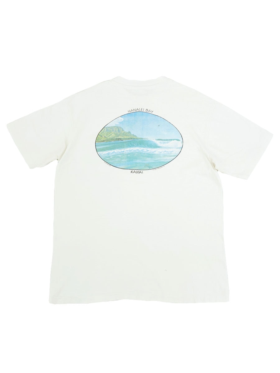 80's Hanes ''HANALEI BAY'' 両面プリント ウェーブ Tシャツ 表記(L) USA製
