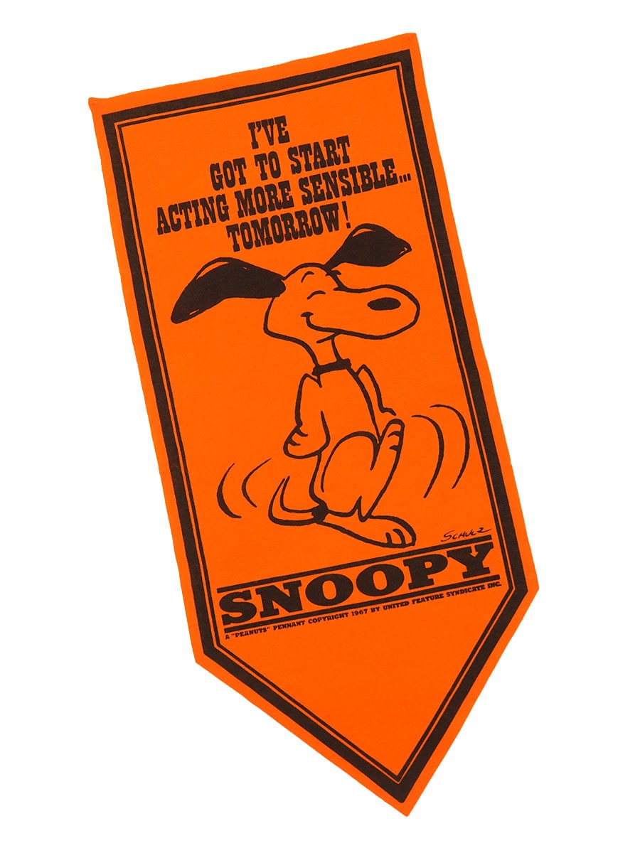70's スヌーピー フェルトペナント オレンジ | すべての商品