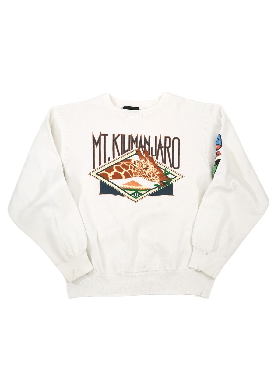 80's Abercrombie & Fitch×Champion ''MT. KILIMANJARO'' スウェット 表記(L)