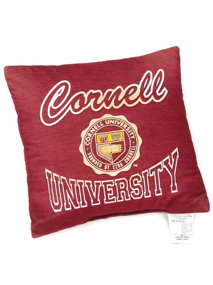 70's COLLEGIATE PACIFIC ''Cornell UNIVERSITY'' 3段フロッキープリント コーデュロイ クッション バーガンディ 