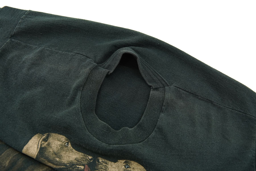 90's FRUIT OF THE LOOM ''WILLIAM WEGMAN'' Tシャツ 表記(XL) USA製