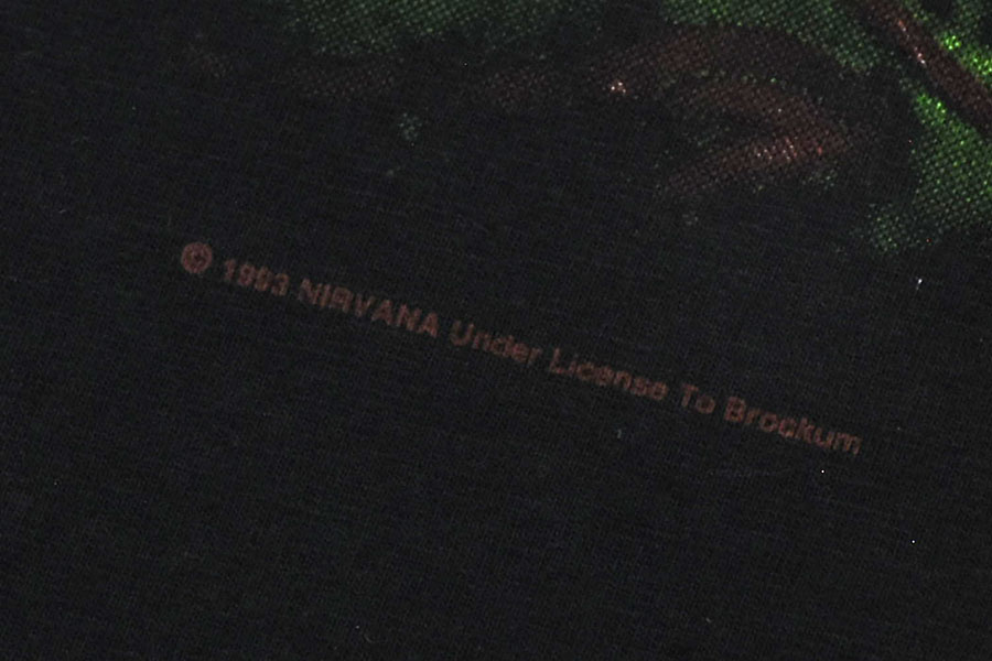 90's anvil NIRVANA ''All Apologies'' 両面プリント Tシャツ 表記(XL)