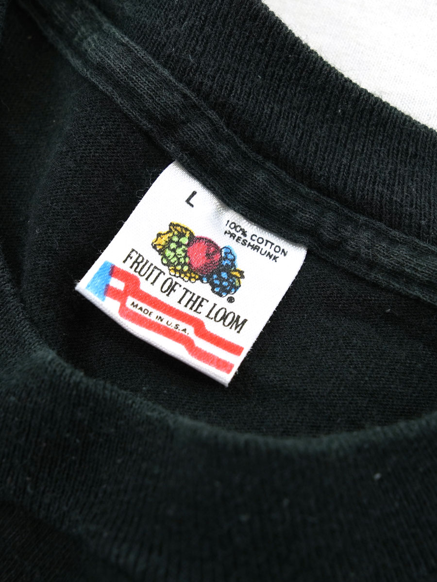 90's FRUIT OF THE LOOM ''アインシュタイン'' Tシャツ 表記(L) USA製