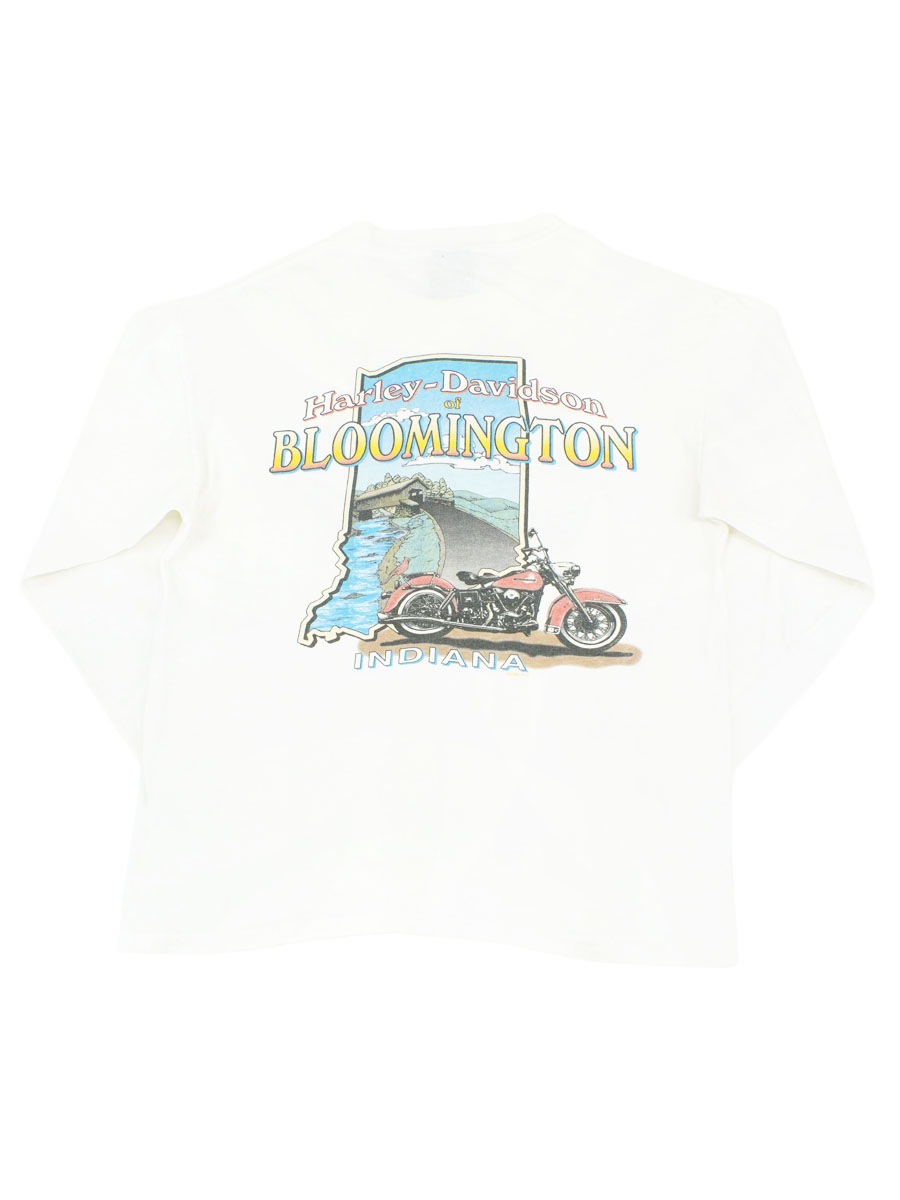 00's HARLEY-DAVIDSON ''HELL ON WHEELS'' 両袖プリント ロング