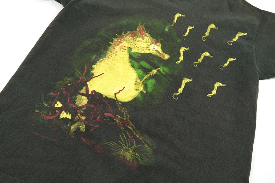 90's giant NIRVANA All apologies ''Seahorse'' Tシャツ 実寸(XL位