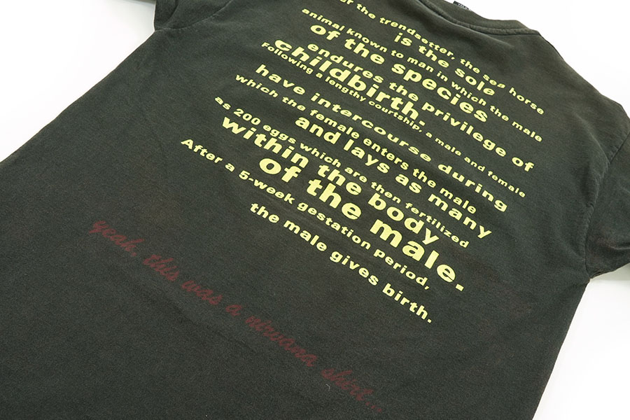 90's giant NIRVANA All apologies ''Seahorse'' Tシャツ 実寸(XL位