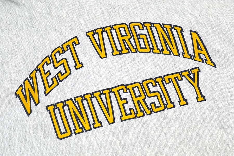 90's 刺繍タグ チャンピオン RWパーカ ''WEST VIRGINIA UNIVERSITY