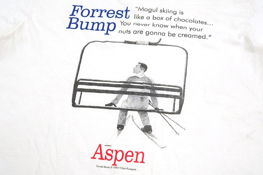 90's anvil ''Aspen Forrest Bump'' パロディプリント Tシャツ ホワイト 表記(XL)