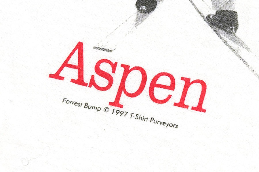 90's anvil ''Aspen Forrest Bump'' パロディプリント Tシャツ ホワイト 表記(XL)