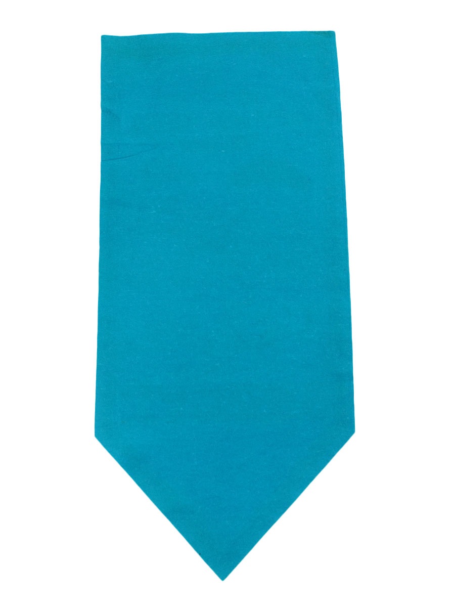 70's PEANUTS SNOOPY フェルトペナント ブルー DEAD