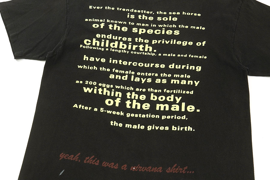 90's Hanes NIRVANA ''All Apologies'' 両面プリント Tシャツ ブラック