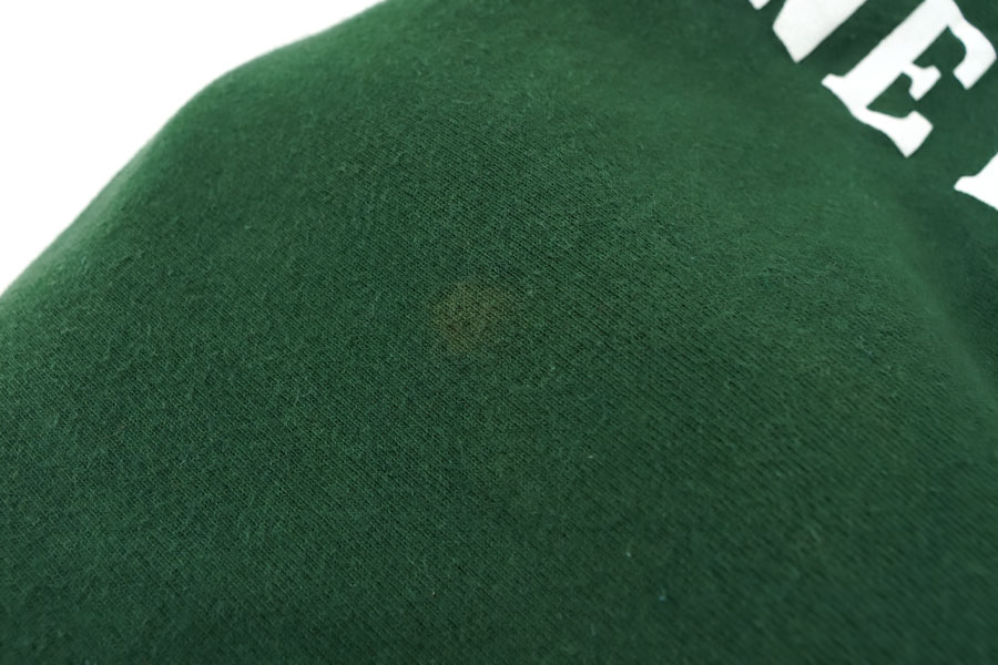 90's 刺繍タグ チャンピオンRW ''HAMPDEN SYDNEY'' グリーン 表記(L) USA製