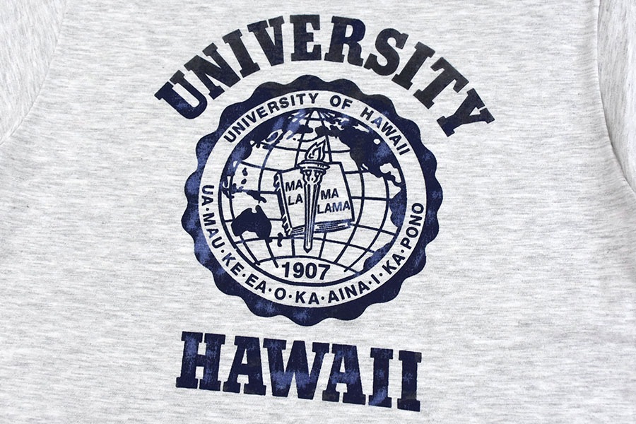 90's Velva Sheen ''UNIVERSITY HAWAII'' 3段フロッキープリント