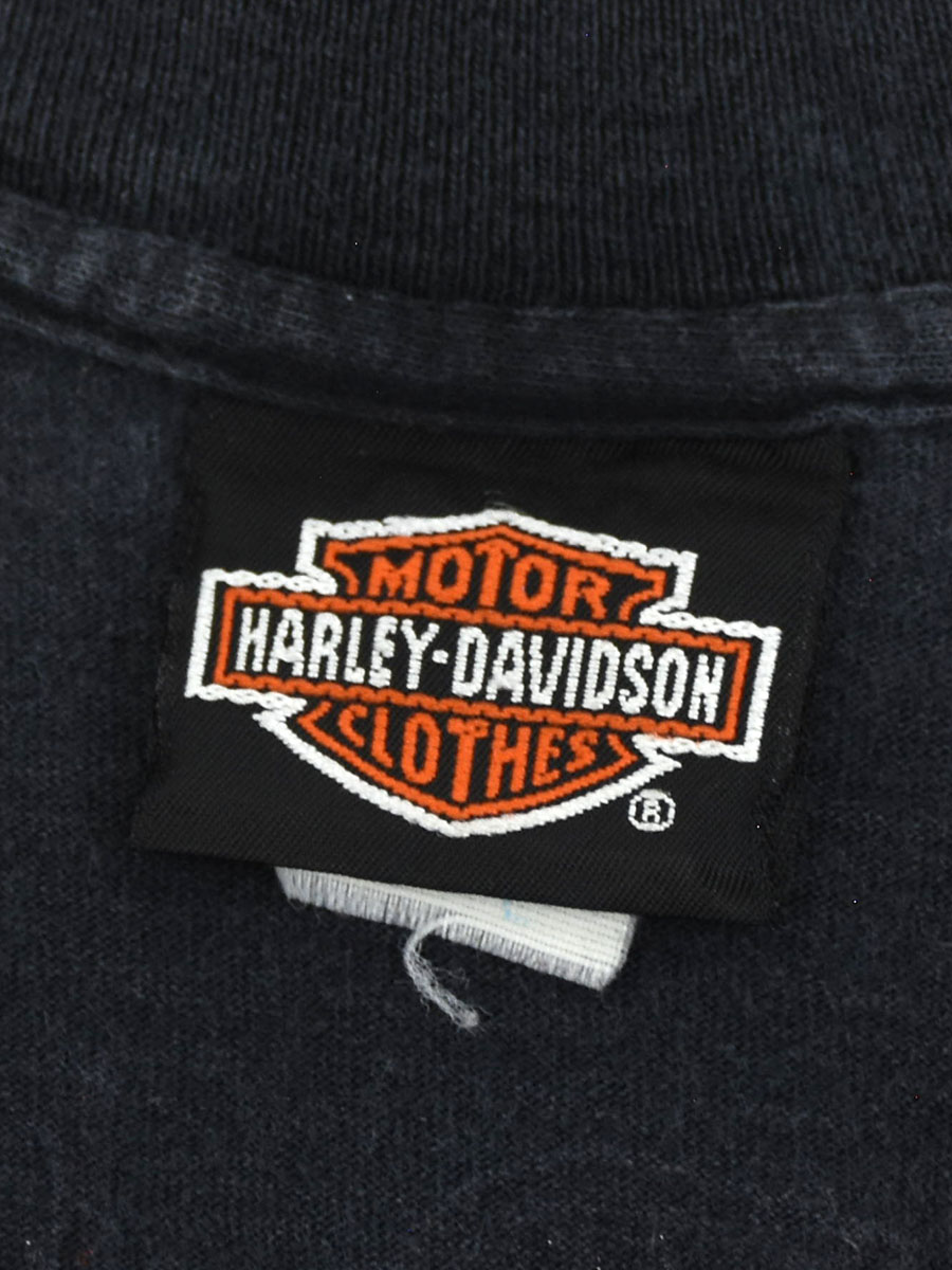 90's HARLEY-DAVISON ''DAYTONA BIKE WEEK/ROBISON'' 両面プリント T