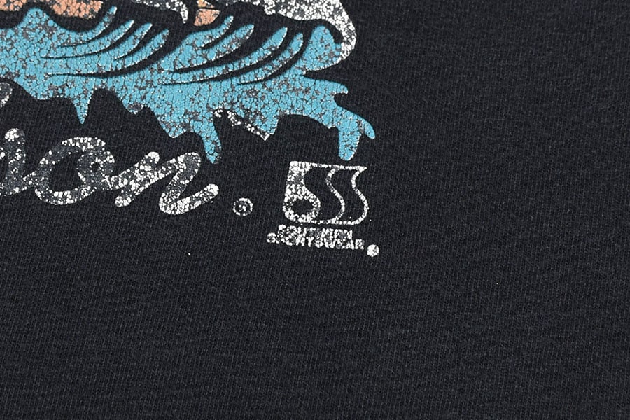90's HARLEY-DAVISON ''DAYTONA BIKE WEEK/ROBISON'' 両面プリント T