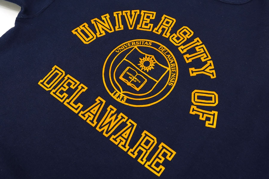 80's～ JANSPORT ''UNIVERSITY OF DELAWARE'' 3段フロッキープリント スウェット 表記(M) USA製
