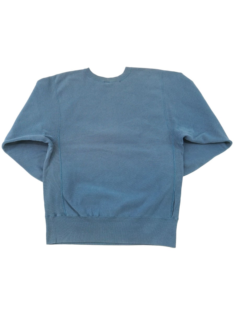 90's 刺繍タグ チャンピオンRW ''STOUT UNIVERSITY OF WISCONSIN