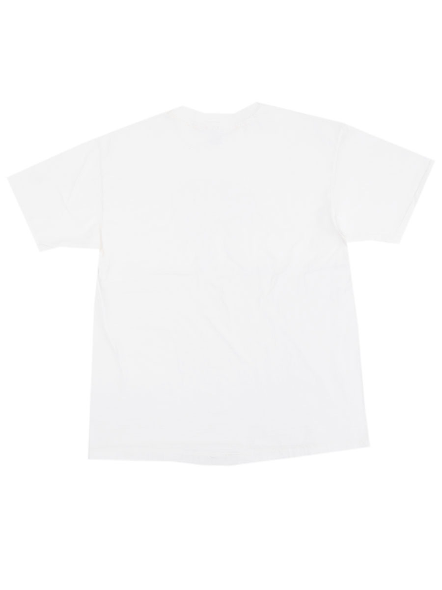 90's Hanes ''Dicerorhinus sumatrensis'' アニマルプリント Tシャツ 表記（L) ホワイト