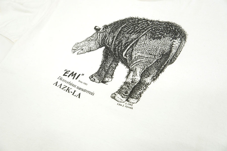 90's Hanes ''Dicerorhinus sumatrensis'' アニマルプリント Tシャツ 表記（L) ホワイト