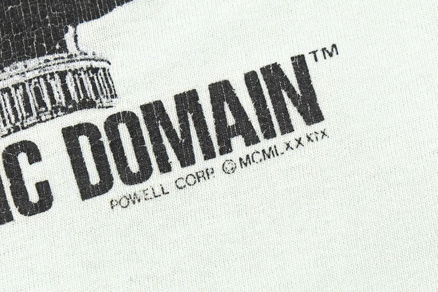 80's POWELL PERALTA ''PUBLIC DOMAIN'' 両面プリント Tシャツ ペールミント 表記(L) USA製