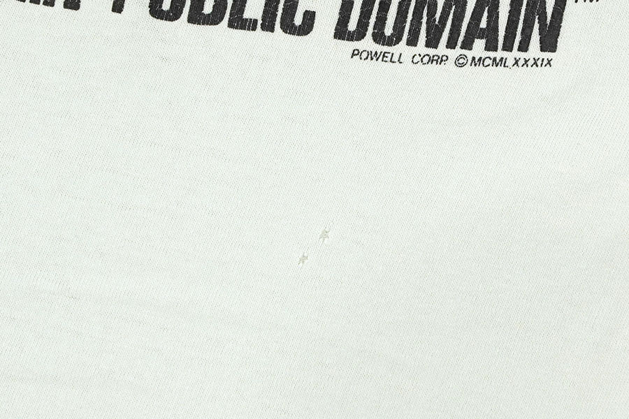 80's POWELL PERALTA ''PUBLIC DOMAIN'' 両面プリント Tシャツ ペールミント 表記(L) USA製