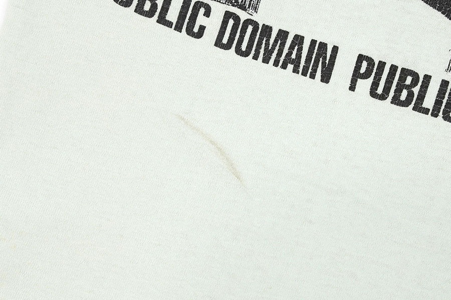 80's POWELL PERALTA ''PUBLIC DOMAIN'' 両面プリント Tシャツ ペールミント 表記(L) USA製