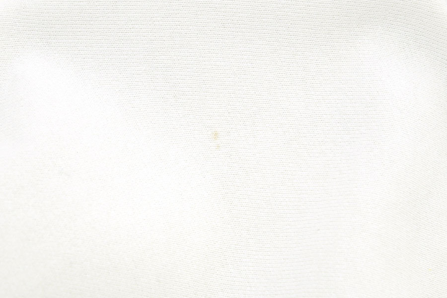 80's プリントタグ チャンピオンRW ''PEPPERDINE UNIVERSITY'' 染み込み 白 表記(L)