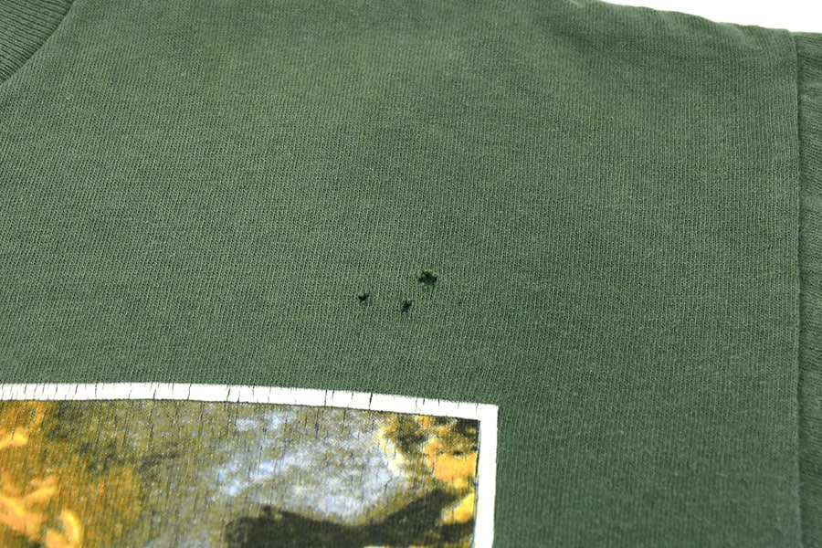 90's WILD OATS GREEN DAY ''INSOMNIAC TOUR'' 両面プリント Tシャツ