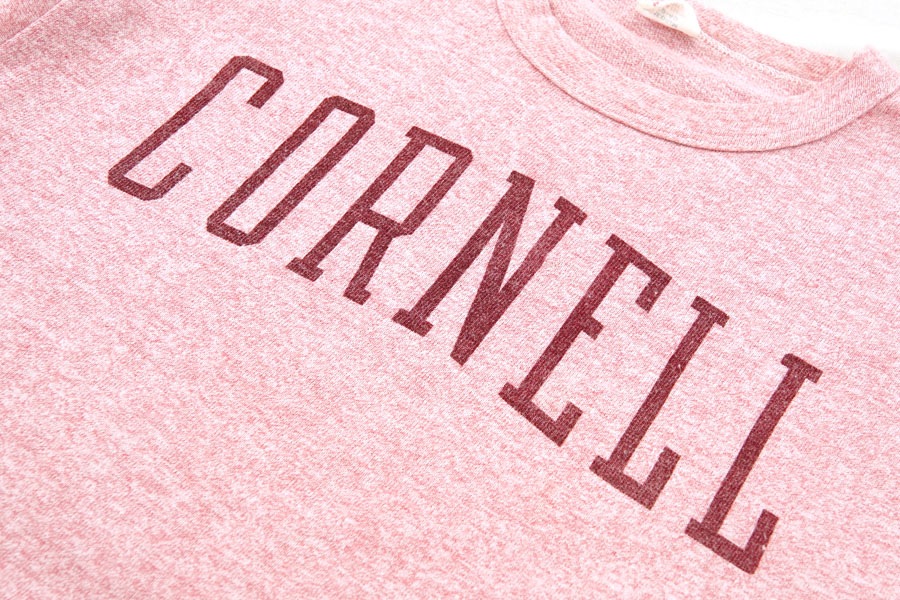 60' ランタグ チャンピオン 赤霜降り ''CORNELL'' 染み込み Tシャツ 表記(M)