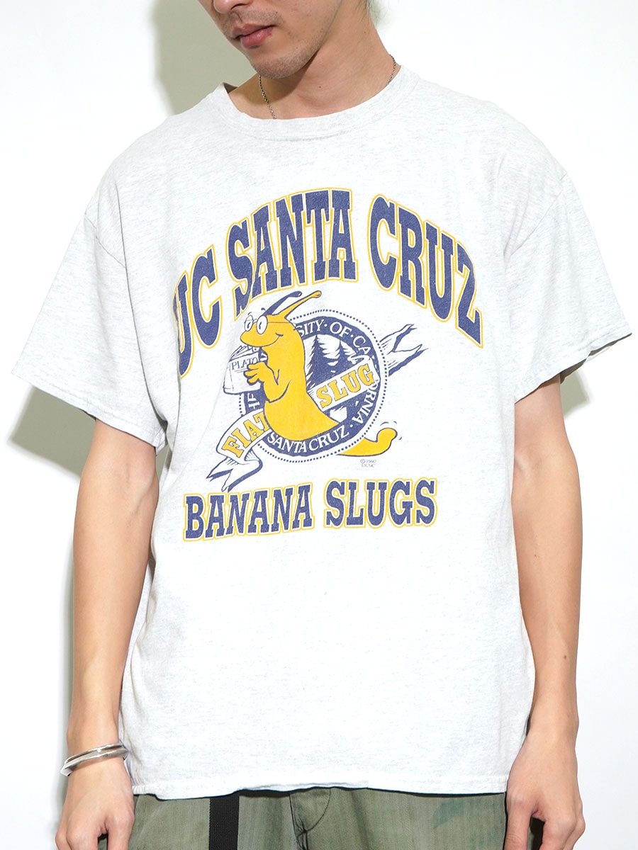 90's GILDAN ''UC SANTA CRUZ BANANA SLUGS'' 3段プリント Tシャツ