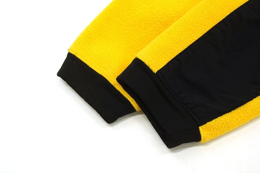 00's THE NORTH FACE ''DENALI'' ハーフジップ フリースパーカ