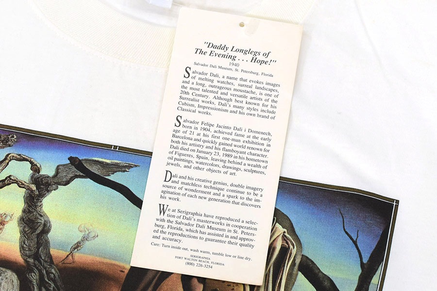 90's JERZEES サルバドール・ダリ ''夜のメクラグモ…希望!'' アートプリント Tシャツ ホワイト 表記(XL) USA製 DEAD