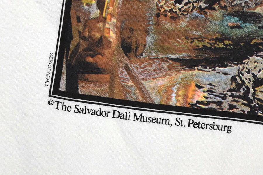 90's JERZEES サルバドール・ダリ ''幻覚剤的闘牛士'' アートTシャツ ホワイト 表記(L) USA製 DEAD