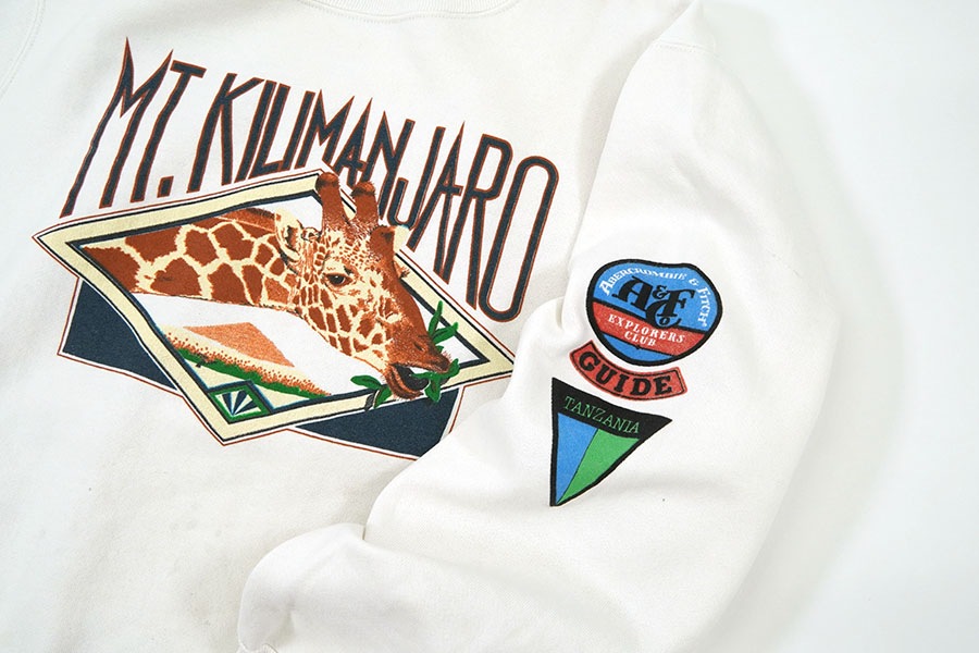 80's Abercrombie & Fitch×Champion ''MT. KILIMANJARO'' スウェット 表記(L)