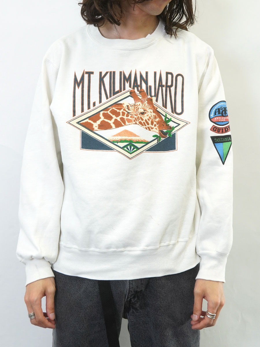 80's Abercrombie & Fitch×Champion ''MT. KILIMANJARO'' スウェット 表記(L)