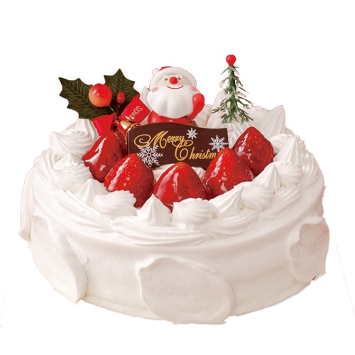 man ドームツアー   フラルネリップバーS  クリスマスケーキパンフ 56485-44-