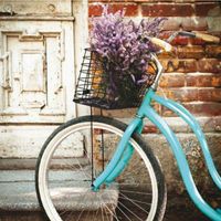 ե쥯Υǥ졼ѥͥ롪ꥢޤΥ󥢡ȡBICI TURCHESE G1076 [߸ͭ]