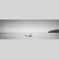 IGREBOW ˥塼ɥ˥ ɥơݥ ӡήڡ[ 13] ܥ ƥꥢե ԥ㡼 ̿