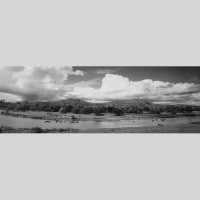 IGREBOW ˥塼ɥ˥ ɥơäήȵ[å 13] ܥ ƥꥢե ԥ㡼 ̿