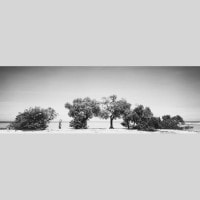 IGREBOW ˥塼ɥ˥ ӡڡ[ 13] ܥ ƥꥢե ԥ㡼 ̿