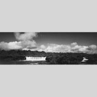 IGREBOW ˥塼ɥ˥ ɥơ ޥɥ졼̤[ 13] ܥ ƥꥢե ԥ㡼 ̿