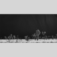 IGREBOW ȥꥢ ȩ𸶤μڡ[å 12] ܥ ƥꥢե ԥ㡼 ̿