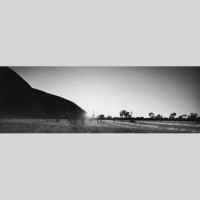 IGREBOW ȥꥢ  𸶤ī[å 13] ܥ ƥꥢե ԥ㡼 ̿