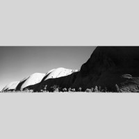 IGREBOW ȥꥢ  īΤ륨å[å 13] ܥ ƥꥢե ԥ㡼 ̿