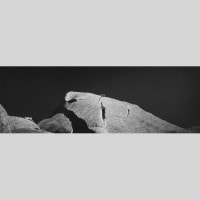 IGREBOW ȥꥢ  γܤڡ[ 13] ܥ ƥꥢե ԥ㡼 ̿