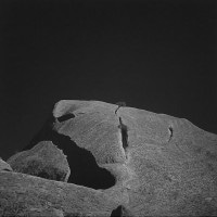 IGREBOW ȥꥢ δγܤڡ[ 11] ܥ ƥꥢե ԥ㡼 ̿