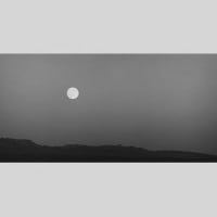 IGREBOW 󥴥  𸶤˾[ 12] ܥ ƥꥢե ԥ㡼 ̿