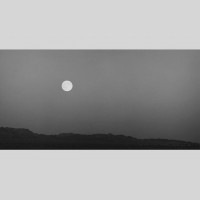 IGREBOW 󥴥  𸶤˾[å 12] ܥ ƥꥢե ԥ㡼 ̿