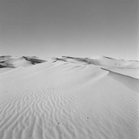 IGREBOW 󥴥 Ӻ[ 11] ܥ ƥꥢե ԥ㡼 ̿